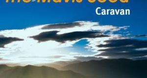 The Mavis Seed